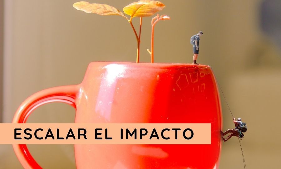 Odoo CMS - una imagen grande