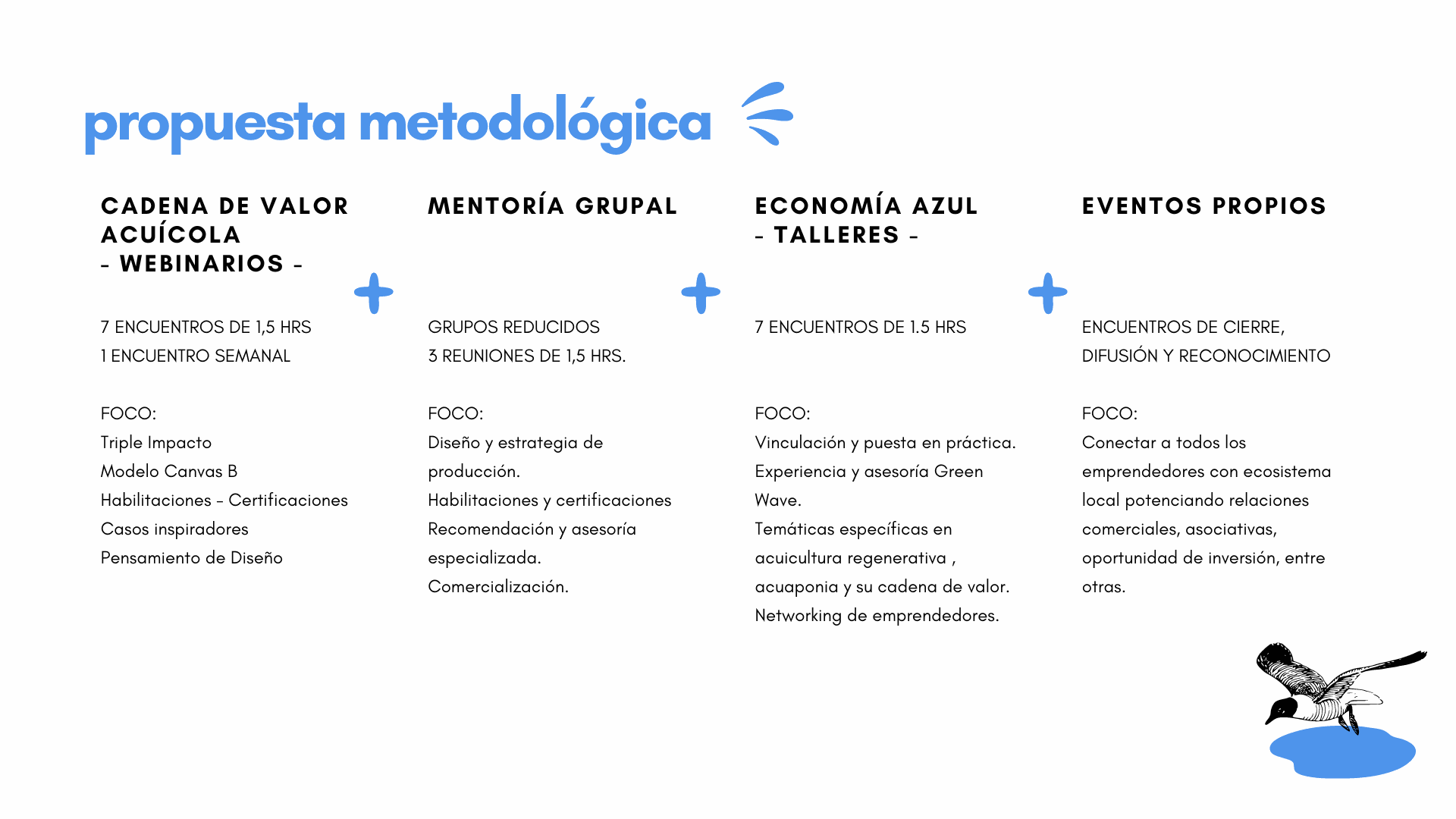 Odoo CMS - una imagen grande
