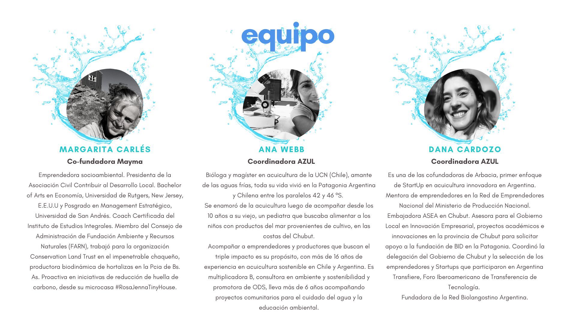 Odoo CMS - una imagen grande
