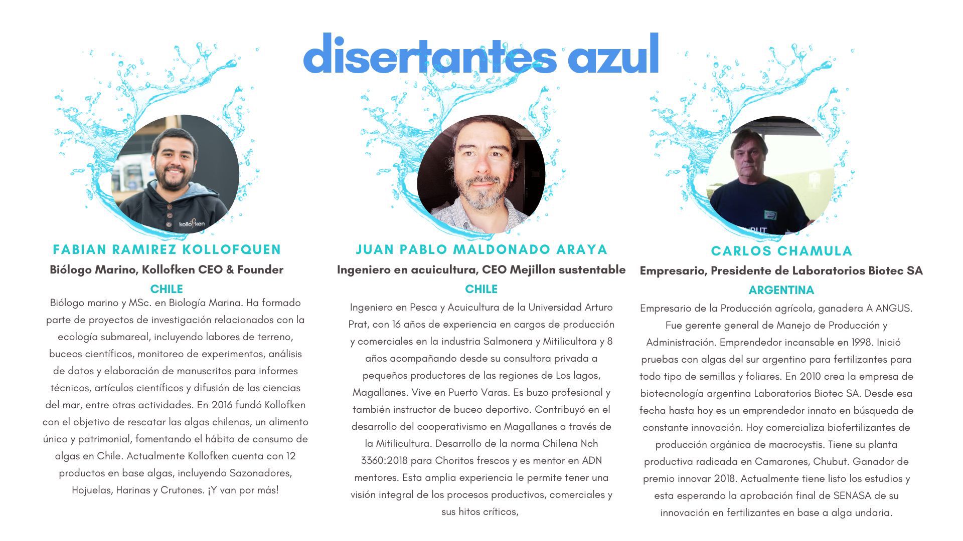 Odoo CMS - una imagen grande