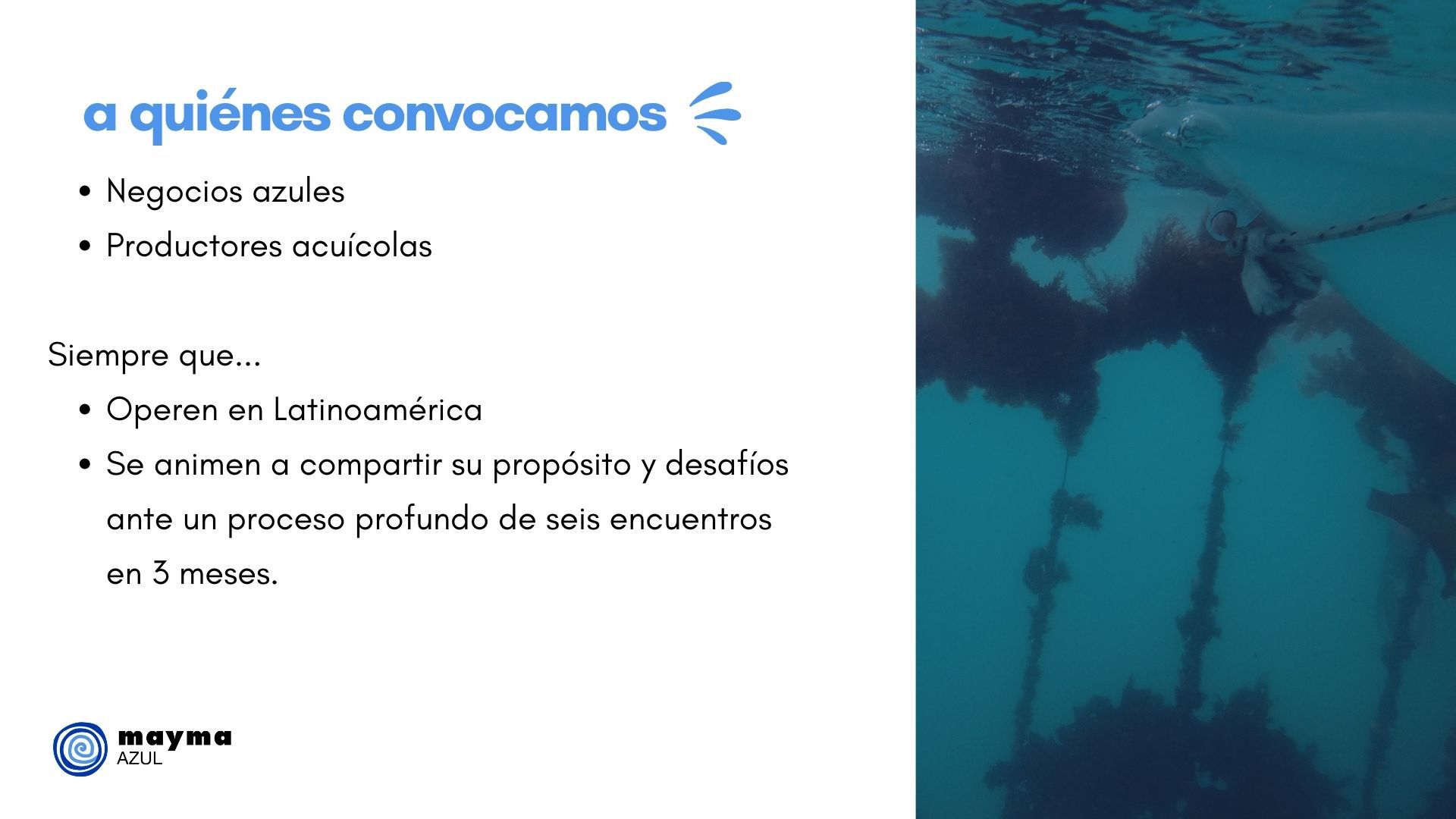 Odoo CMS - una imagen grande